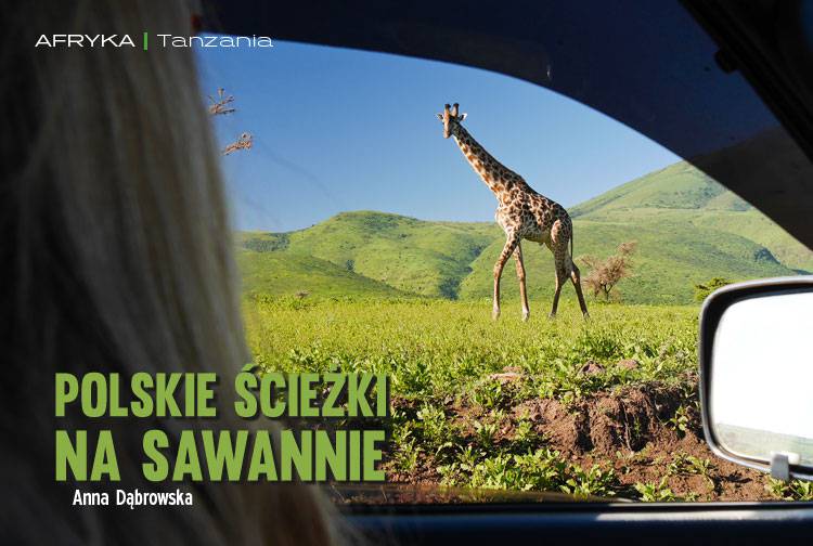 Losowy darmowy artykuł